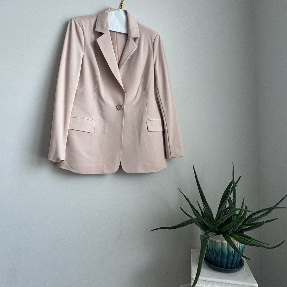 Adrianna Papell Light Pink Blazer